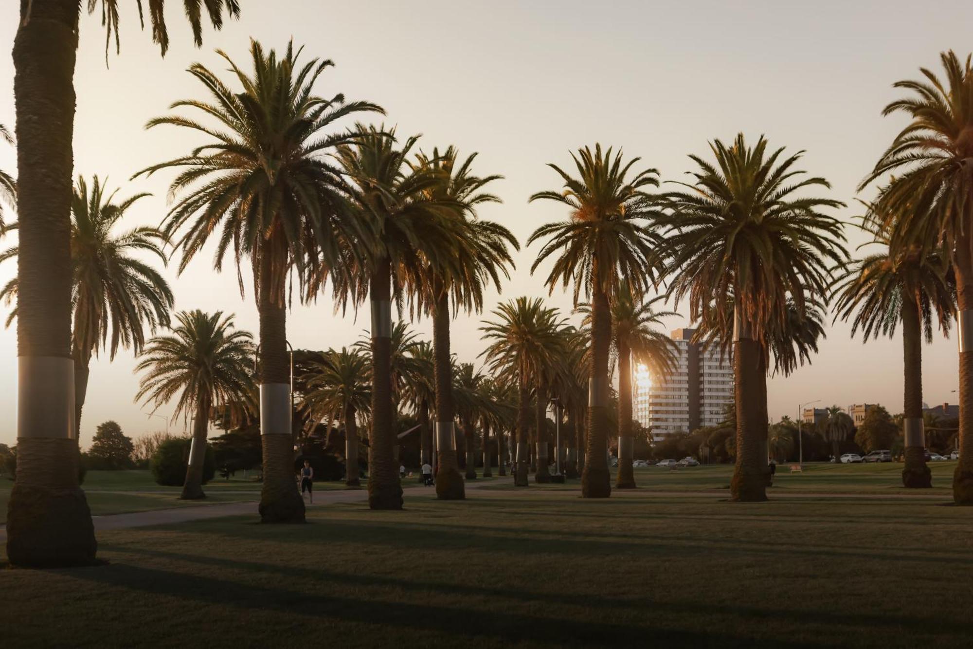 Mac St Kilda Blessington St By Melbourne Apartment Collection Extérieur photo